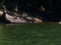 06-30-17-Rocky Gorge with T-29886