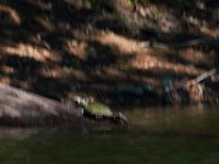 06-30-17-Rocky Gorge with T-29889