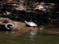 06-30-17-Rocky Gorge with T-29935