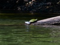 06-30-17-Rocky Gorge with T-29950