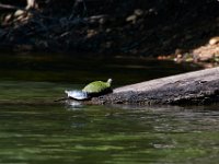 06-30-17-Rocky Gorge with T-29955