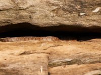 07-02-17-Rocky Gorge-West-20071