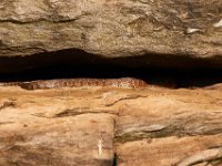 07-02-17-Rocky Gorge-West-20073