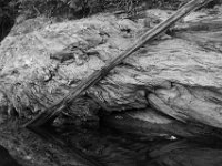 07-02-17-Rocky Gorge-West-20089