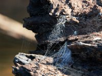 07-02-17-Rocky Gorge-West-20121