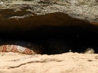 07-02-17-Rocky Gorge-West-20139