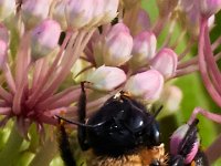 07-15-17-Nanjemoy-East-21290