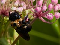 07-15-17-Nanjemoy-East-21307