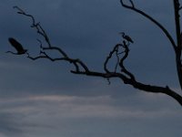 08-19-17-Piscataway-22943