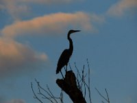 08-19-17-Piscataway-23023