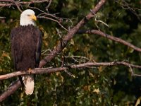 08-27-17-Nanjemoy-23898