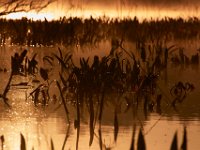 09-04-17-Mattawoman Creek-24960
