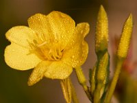 09-04-17-Mattawoman Creek-25046