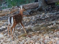 09-16-17-Rocky Gorge26006