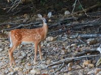 09-16-17-Rocky Gorge26018