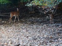 09-16-17-Rocky Gorge26021