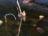 09-16-17-Rocky Gorge26066