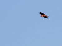 09-23-17-Tuckahoe Creek-26346