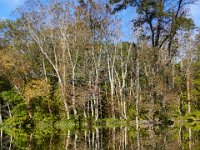 09-23-17-Tuckahoe Creek-26651