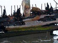 10-14-17-Mallows Bay-27546