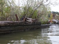 10-14-17-Mallows Bay-27602