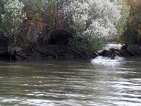 10-14-17-Mallows Bay-27648