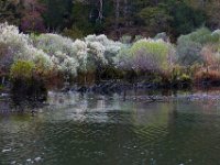 10-14-17-Mallows Bay-27728