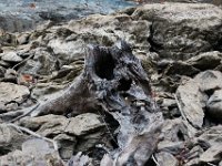 10-15-17-Rocky Gorge-27854
