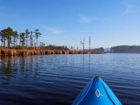 10-21-17-Blackwater-28439