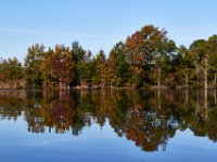 10-21-17-Blackwater-28544