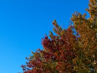 10-21-17-Blackwater-28567