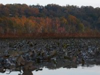 10-22-17-Piscataway-28753
