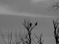 10-22-17-Piscataway-28802