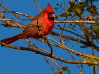 10-22-17-Piscataway-28911