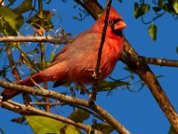 10-22-17-Piscataway-28925