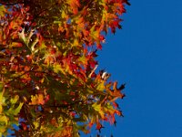 10-22-17-Piscataway-28977