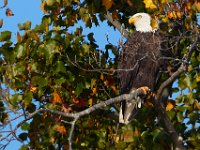 10-22-17-Piscataway-29067
