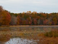 11-03-17-Cash Lake w-T-29514
