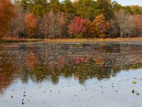 11-03-17-Cash Lake w-T-29522