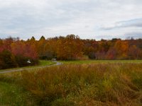 11-03-17-Cash Lake w-T-29638